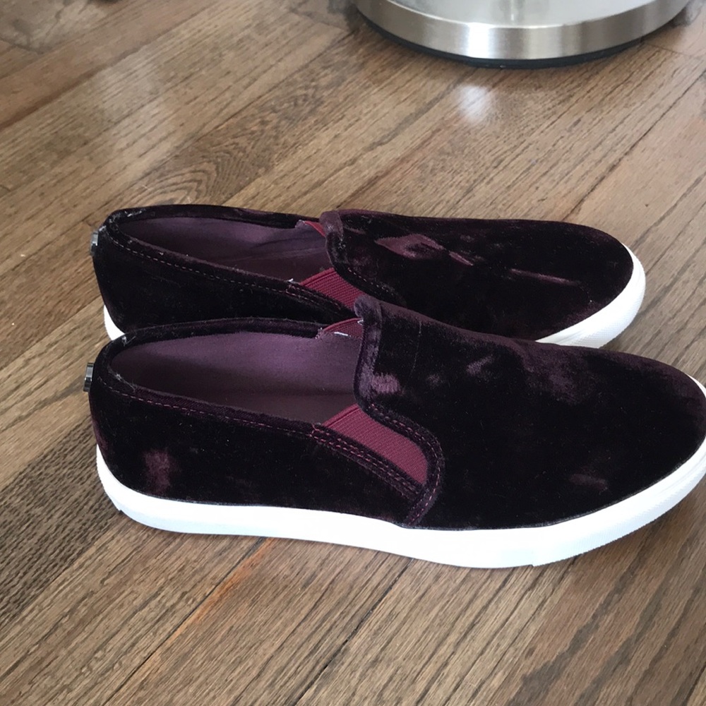 Steve Madden eccentric sneaker